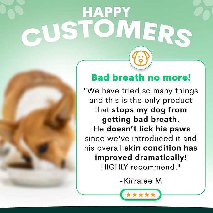 Probiotic for Dogs - Grain-Free Digestive Support Powder for Diarrhea, Bloating & Gas - Promotes Immune Support & Oral Health - Reduces Paw Licking, Allergies & Yeast Infections - 5.4 oz - 90 Scoops