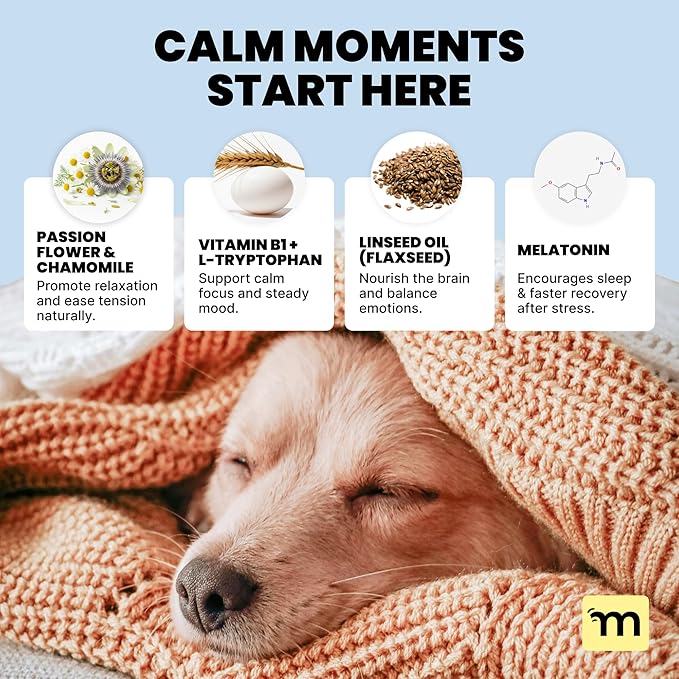 MalsiPree Calming Chews for Dogs - 145 pcs Salmon - Helps Regulate Mood - Anxiety Relief Treats - No Sedative Effect - Freeze Dried - with Passion Flower & Melatonin