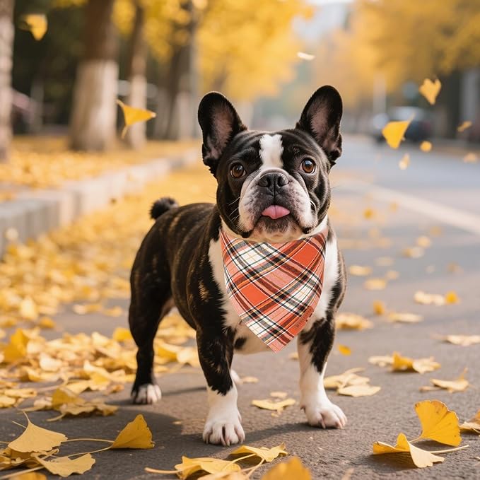 ADOGGYGO Fall Dog Bandanas 2 Pack, Premium Cotton Fabric, Orange Plaid Holiday Pet Scarf, Fall Thanksgiving Halloween Bandanas for Small Dogs (Small)
