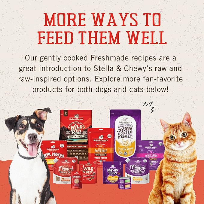 Stella & Chewy's FreshMade Frozen Fresh Grain-Free Gobblin' Good Dog Food, 16-oz Pouch (Pack of 4)
