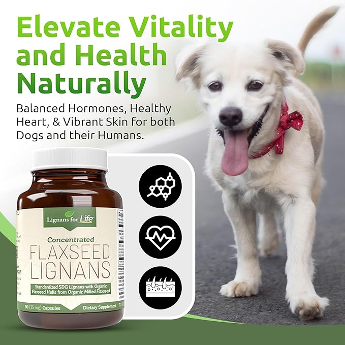 Lignans For Life Flaxseed Lignans for Dogs + SDG - Omega 3 Fatty Acids, High Fiber Antioxidants Helps Improve Shiny Coat, Digestive & Heart Health Lignans, 35mg, 90 Flaxseed Capsules, 2 Pack
