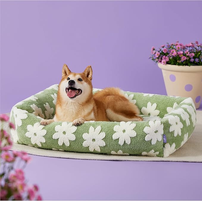 LE SURE Cute Dog Bed for Large Dogs - Washable Pet Beds,Cozy Rectangle Orthopedic Sofa with Jacquard Shaggy Plush & Anti Slip Bottom,36x27x8inches