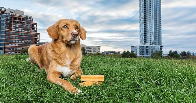 peaksNpaws Himalayan Yak Chews, High Protein Dog Treat for Aggressive Chewers, Natural, Long Lasting, Lactose Free Chew Stick for Pet Under 35 lbs, 4 Medium Treats, 100% Eco-Friendly Packaging
