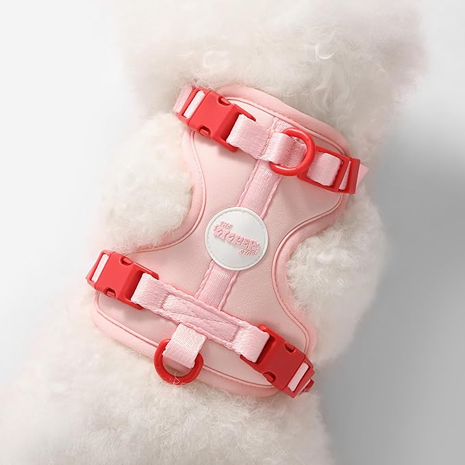HNS1001G Arlo Small Adjustable Soft Padded No Pull Pet Harness with 3 Buckles and 3 Leash Clips, Paloma