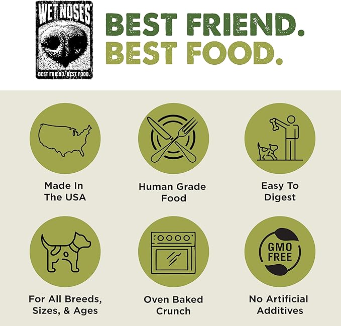 Wet Noses Moments Non-GMO Apple Ginger Bears Crunchy Dog Treats - 14oz | No Corn, Wheat, Soy or Peas, Made with 7 Simple Ingredients