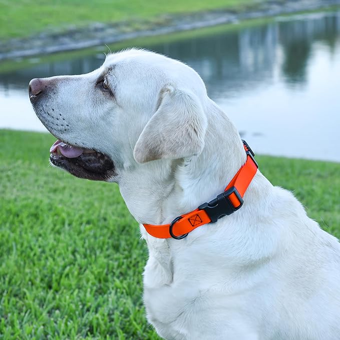 Dogline Durable Biothane Waterproof Collar for Dogs - Odor-Resistant Coated Webbing, Quick-Release Design, Comfortable Adjustable Fit, 5/8" W by 10-14" L, Hunter Orange