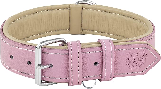 Riparo Pink Dog Collar, Puppy Collar, Leather Dog Collar with Dog Tag Holder, Small Dog Collar for Small Dogs (S: 0.75” Wide for 10”-13.5” Neck, Pink)