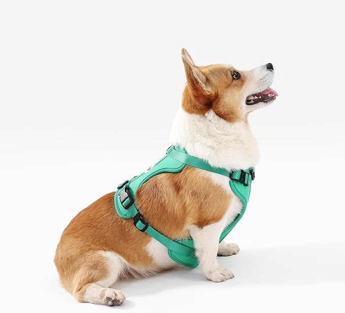 HNS1002K Arlo Medium Adjustable Soft Padded No Pull Pet Harness with 3 Buckles and 3 Leash Clips, Julep