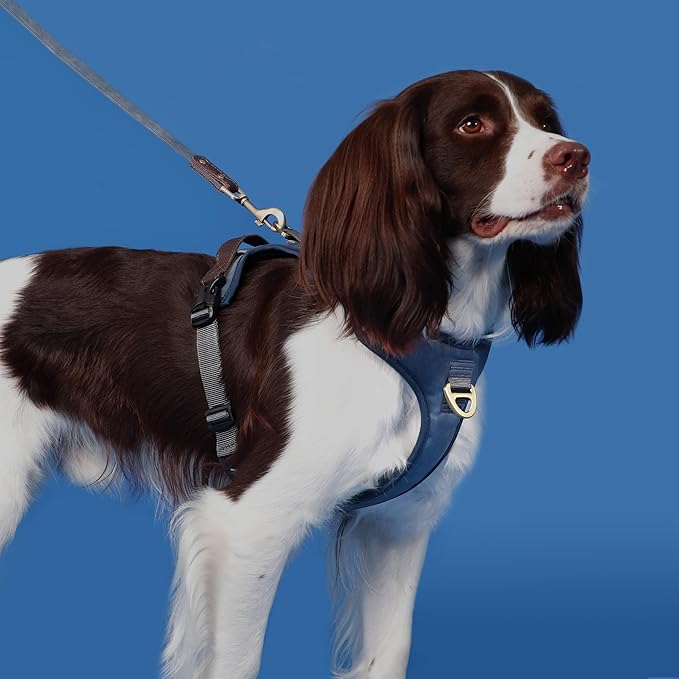 No Pull Dog Harness Medium Sized Dog,Stylish PU Leather Vest with Easy Control Handle,No Choke Front Clip with 2 Metal Leash Clips,Reflective & Adjustable for Walking,Blue,Chest 22-29"