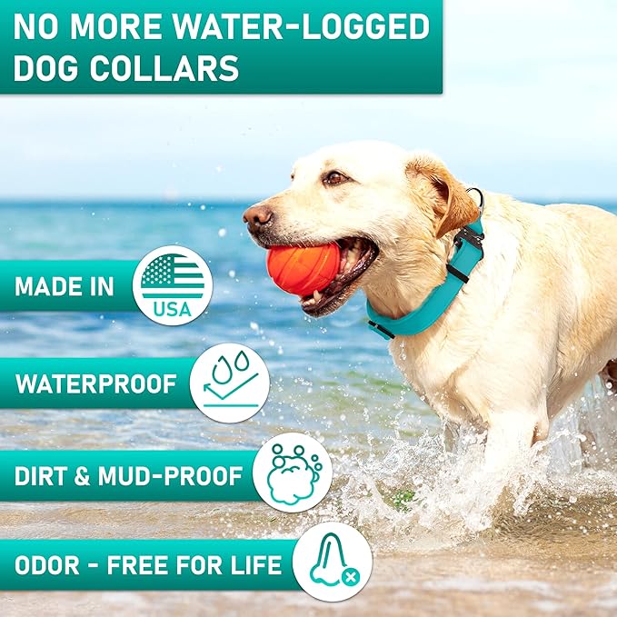Biothane Dog Collar with Cobra Buckle - Made in USA - QR Code Dog Tag ID Included - Adjustable Heavy Duty Dog Collars for Medium Large Dogs - Waterproof Military Grade Tactical Collar for Dogs