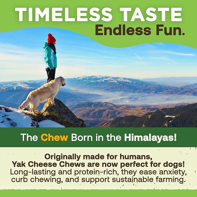 EcoKind Himalayan Gold Yak Cheese Dog Chew for Small Dogs, Healthy Treats, Odorless, Long Lasting Dog Bones for Dogs, Rawhide Free, Made in The Himalayans, Small (Pack of 4)