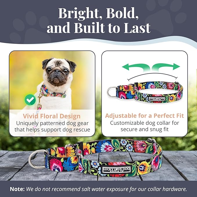 Lucky Love Dog Martingale Dog Collar - Adjustable, No-Slip, Durable, & Soft Webbing Collar for Male and Female Dogs Ideal for Training & Walking - Blackbird, Small