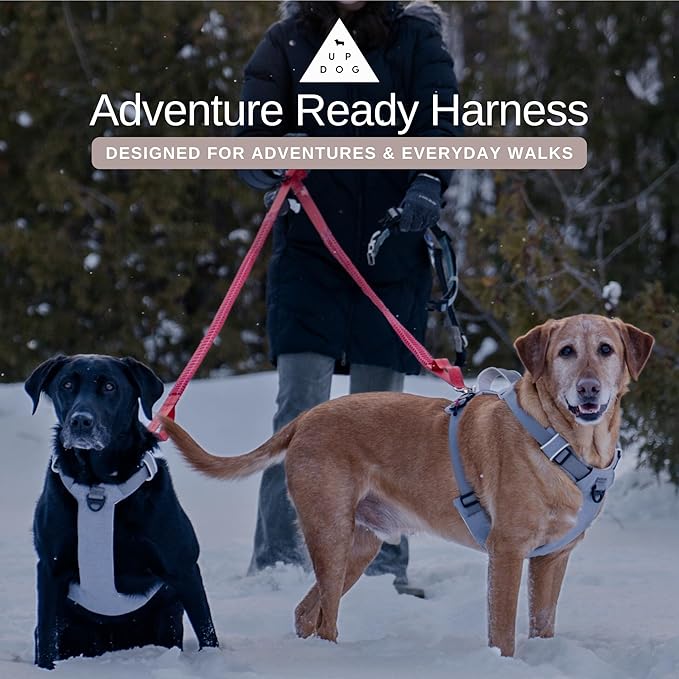 Effortless No-Pull Dog Harness with Magnetic Buckle – One-Hand On/Off Comfort Fit for Small, Medium & Large Breeds | Soft Padded, Adjustable, and Durable by Up Dog Shop (Small)