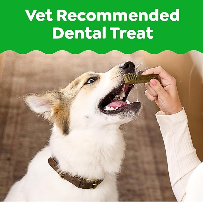 Greenies Veterinarian-Recommended Adult Natural Dental Dog Treats Petite Size, Original Flavor, 54 oz. Pack, 90 Count