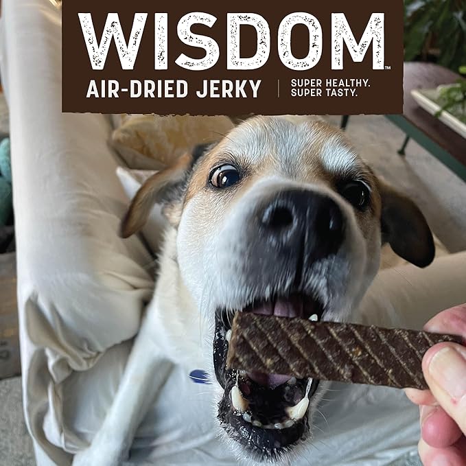 Earth Animal Wisdom Air Dried Jerky - from The Air Recipe Premium Natural Jerky Strips Dog Treats - 4 oz Bag