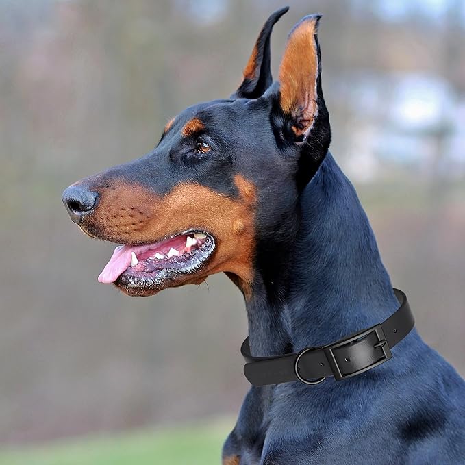 Dogline Biothane Coated Webbing Dog Collar with Black Metal Hardware: Durable Easy-Clean Everyday Collar for Dogs - Comfortable Adjustable Odor-Resistant Pet Collar, W1 x L18-22, Black