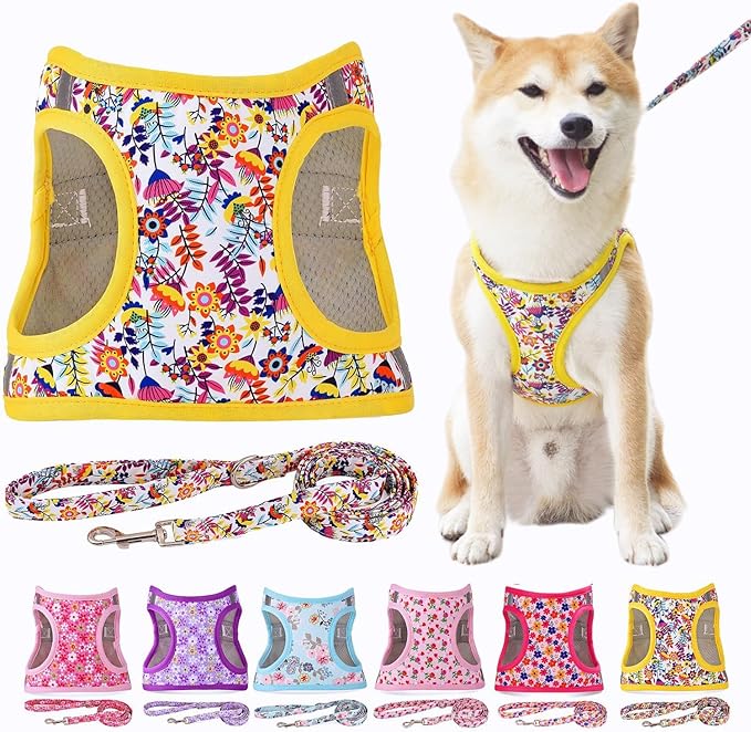 Moonpet Step in Dog Harness Leash Set- All Weather Reflective No-Pull Floral Pattern Padded Mesh Vest Harness for Cats Puppy Extra-Small Small Medium Large Dogs - White Flower - S