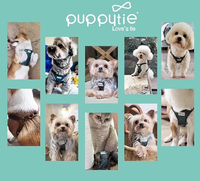 Puppytie No Pull xs Dog Harness with Multifunction Dog Leash,Soft Adjustable No Choke Escape Proof Pet Harness Vest,Glossy Dark Green,XS