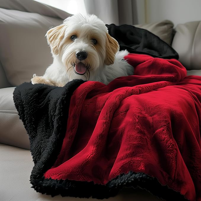 Waterproof Throw Blanket - Sherpa Fleece Reversible Throw, Soft Warm Leak-Proof Bed & Couch Protector for Kids, Pets & Everyday Spills (Velvet Red/Obsidian Black, Throw 50x60