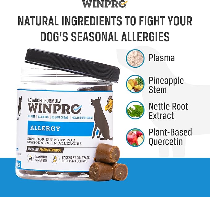 WINPRO Allergy Chews – Plasma-Powered Formula for Dog Seasonal Allergy Support – Grain-Free, Natural Blood Protein Supplements – 60 Soft Chews