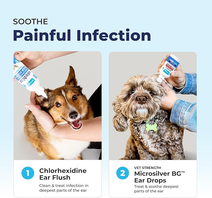 Vetnique Oticbliss Cat & Dog Ear Infection Treatment/Dog Ear Allergy Relief Drops, MicroSilver Yeast Infection Treatment for Dogs, Hydrocortisone for Itching, Redness Swelling (Ear Infection)