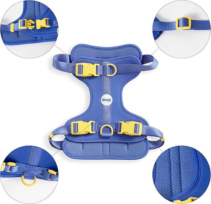 HNS1003C Arlo Large Adjustable Soft Padded No Pull Pet Harness with 3 Buckles and 3 Leash Clips, Curaçao