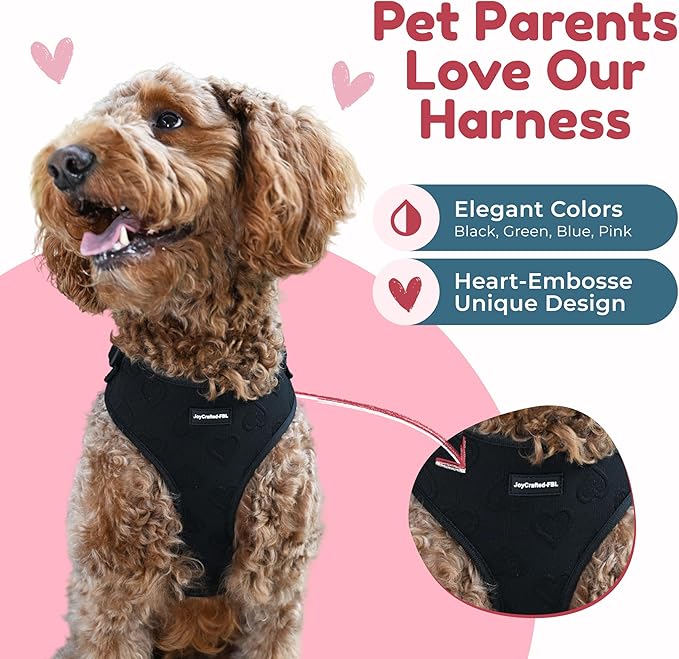No Pull Neoprene Dog Harness and Leash Set for Small Dog, Neck(18.9–24 in), Adjustable Soft Mesh Design, Black L -Lightweight No Choke Fit, Step-in, Escape-Proof Comfort