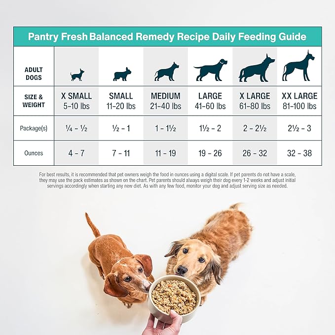 JustFoodForDogs Pantry Fresh Wet Dog Food, Complete Meal or Dog Food Topper, for Sensitive Stomachs, Balanced Remedy Human Grade Dog Food Recipe - 12.5 oz (Pack of 12)