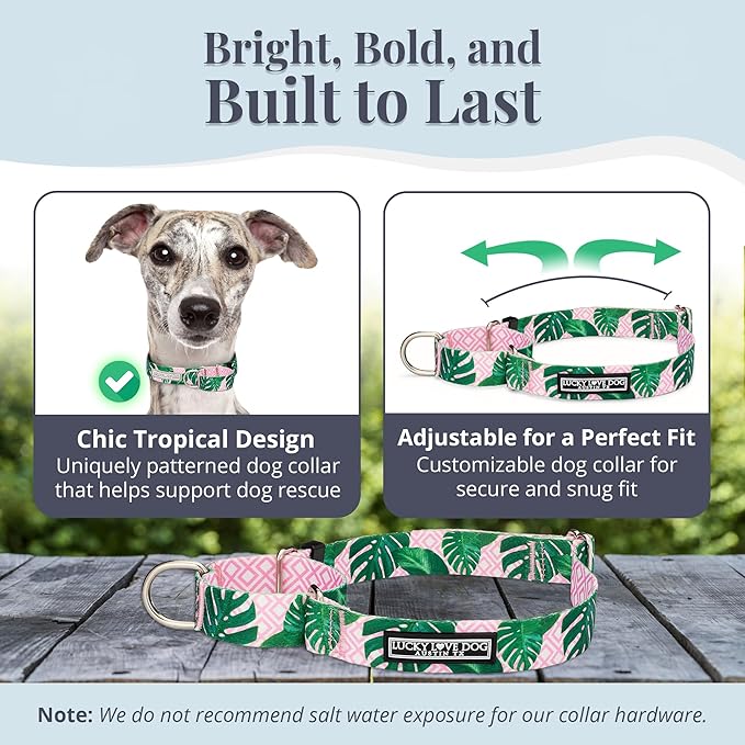 Lucky Love Dog Martingale Dog Collar - Adjustable, No-Slip, Comfortable, Durable, Soft Webbing & Stylish Patterned Collar for Male and Female Dogs Ideal for Training & Walking - Laguna, Medium