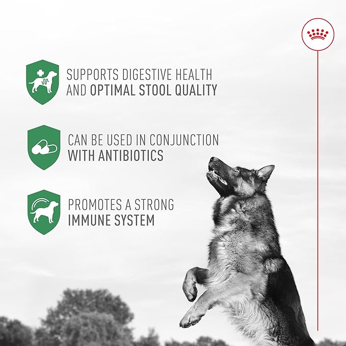 Royal Canin Probiotics for Dogs Digestive and Immune Health Powder Supplement for Dogs of All Ages, 30 Count (Pack of 3)