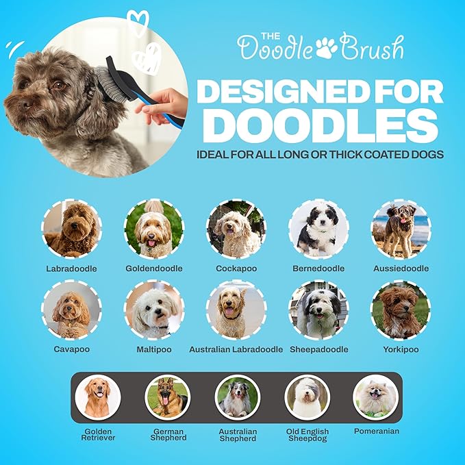 Slicker Brush for Dogs Detangler, Poodle Pin Dematting Extra Long Pin Slicker for Goldendoodle, Cockapoo, Cavapoo, Tangle-Free Grooming Shiny Coat Holiday Pet Christmas Gifts