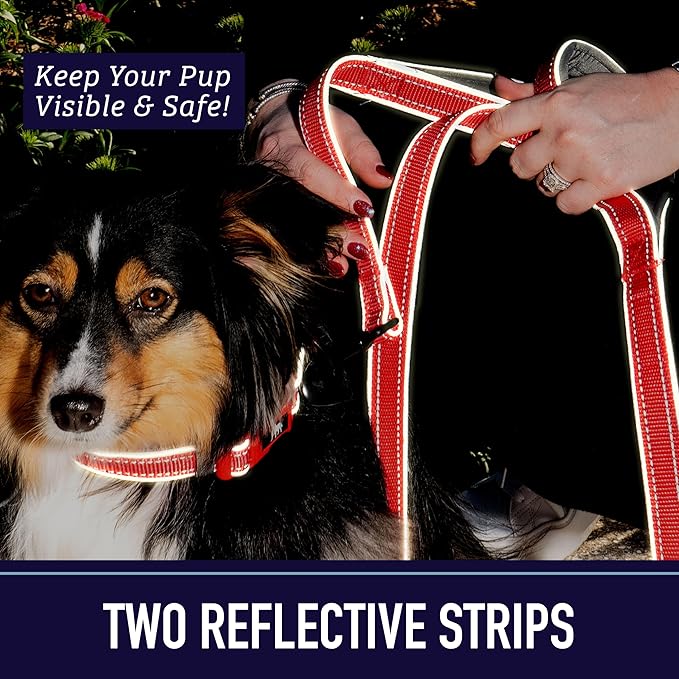 Leash Boss Double Handle 6Ft Reflective Dog Leash with Two Padded Handles for Large or Medium Dogs That Pull - Pattern Collection (Blue - Wave)