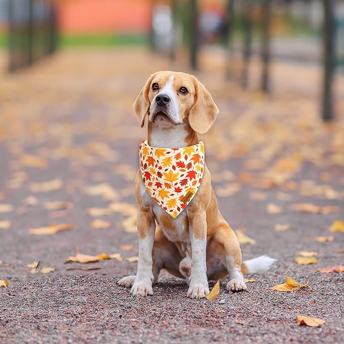 Fall Dog Bandanas - 2 Pack Halloween Thanksgiving Dog Bandana | Reversible Pumpkin and Leaf Pet Scarf for Boy & Girl | Premium Durable Fabric | Holiday Bandana for Medium and Large Dogs (Large)