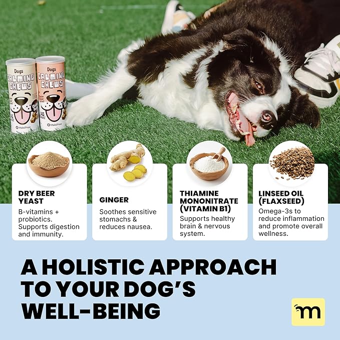 MalsiPree Calming Chews for Dogs - 145 pcs Salmon - Helps Regulate Mood - Anxiety Relief Treats - No Sedative Effect - Freeze Dried - with Passion Flower & Melatonin