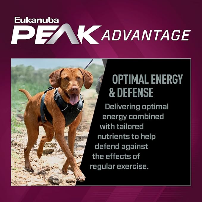 EUKANUBA Adult Premium Performance 26/16 Exercise Dry Dog Food, 40 lb Bag