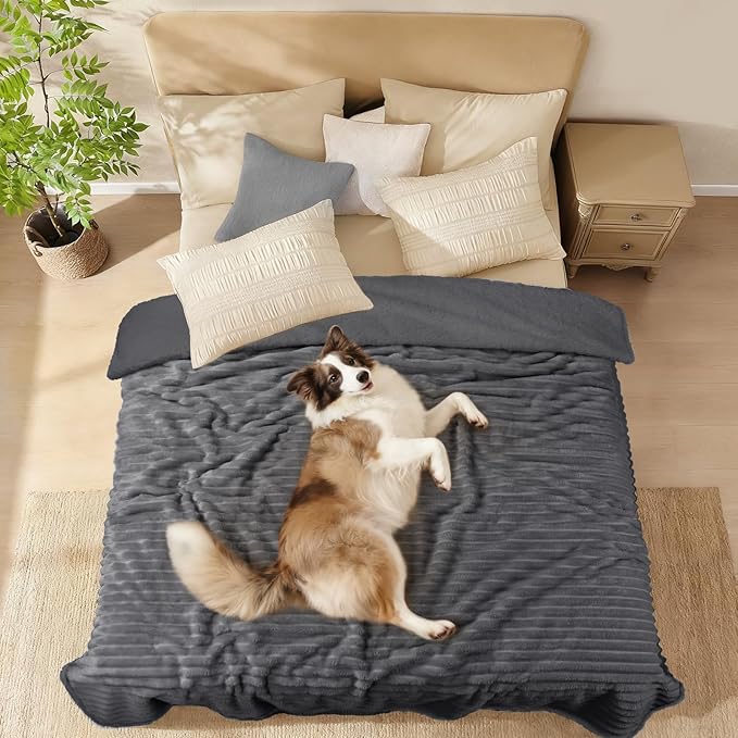 Luciphia Waterproof Dog Blanket for Medium Large Dogs Ultra-Soft Calming Cut Pile Flannel Throw Durable & Warm Furniture Protection for Couch Car Pet Blanket Machine Washable Stone Gray,M(57''x40'')