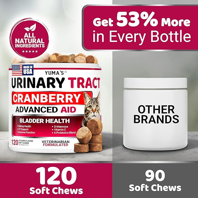 Cat UTI Treatment - Cranberry Supplement for Cats - Bladder Control - Urinary Tract Health Infection Treatment - UTI Medicine - Vitamins and Food Supplements - Immune & Multivitamin Support Chews