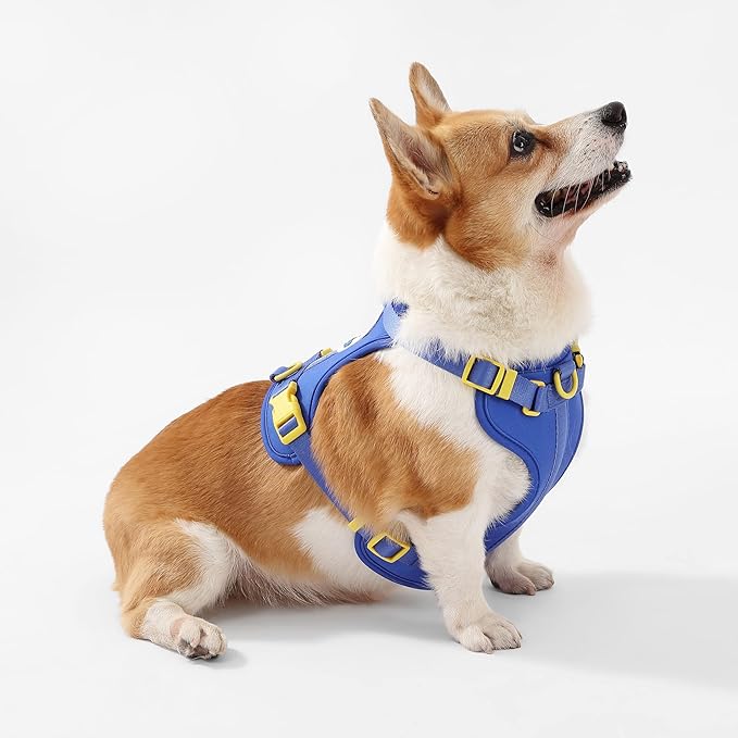 HNS1002C Arlo Medium Adjustable Soft Padded No Pull Pet Harness with 3 Buckles and 3 Leash Clips, Curaçao