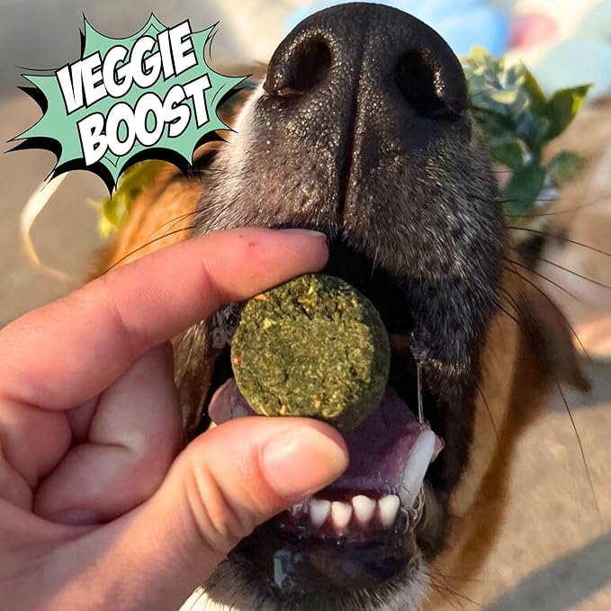 Chippin Natural Dog Treat, Spirulina, Kale Carrots, Healthy Meal Topper, Crunchy Vegan Dog Biscuit for Puppies, Seniors, Stops Grass Eating, Hypoallergenic, Gift, Sustainable Product