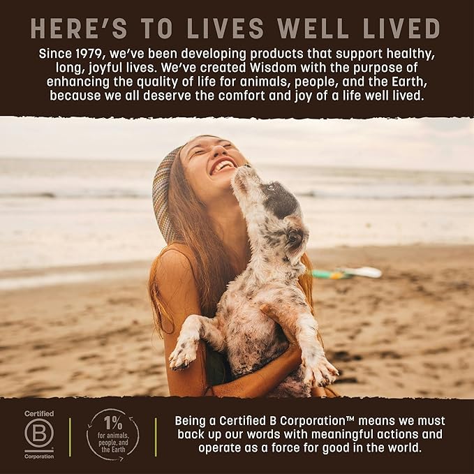 Earth Animal Wisdom Air Dried Jerky - from The Seed Recipe Premium Natural Plant Based Jerky Strips Dog Treats - 4 oz Bag