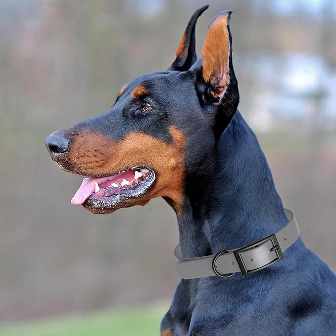 Dogline Biothane Coated Webbing Dog Collar with Black Metal Hardware: Durable Easy-Clean Everyday Collar for Dogs - Comfortable Adjustable Odor-Resistant Pet Collar, W1 x L22-25", Battleship Gray