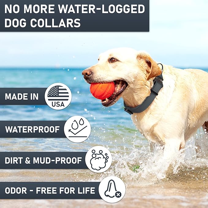 Biothane Dog Collar with Cobra Buckle - Made in USA - QR Code Dog Tag ID Included - Adjustable Heavy Duty Dog Collars for Medium Large Dogs - Waterproof Military Grade Tactical Collar for Dogs