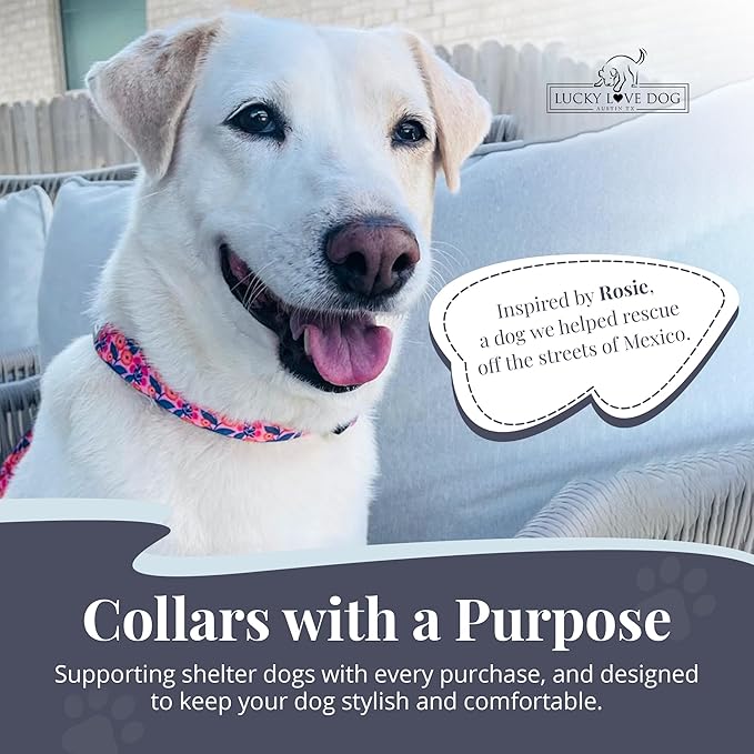 Lucky Love Dog - Easy Click Buckle Dog Collar with Leash Set Combo, Durable & Comfortable for Male & Female Dogs, Pet Collar for Small to Large Dogs, Secure Fit - Floral Rosie Combo, X-Small