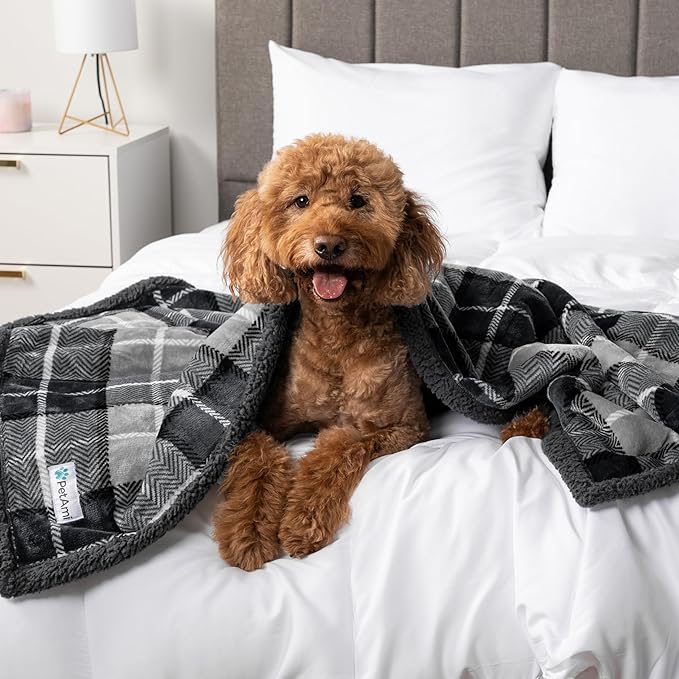 PetAmi Waterproof Dog Blanket for Medium Large Dog Puppy Cat Throw for Couch Cover Leakproof Protection, Sherpa Fleece, Reversible Soft Washable 60x40 Wine Red
