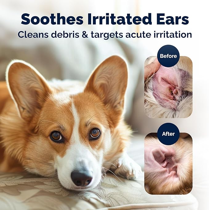 Vetnique Oticbliss Advanced Strength Medicated Dog Ear Infection Treatment, Antiseptic Ear Cleaner for Cat & Dog Ear Cleaning Solution Chlorhexidine & Ketoconazole (12oz Flush)