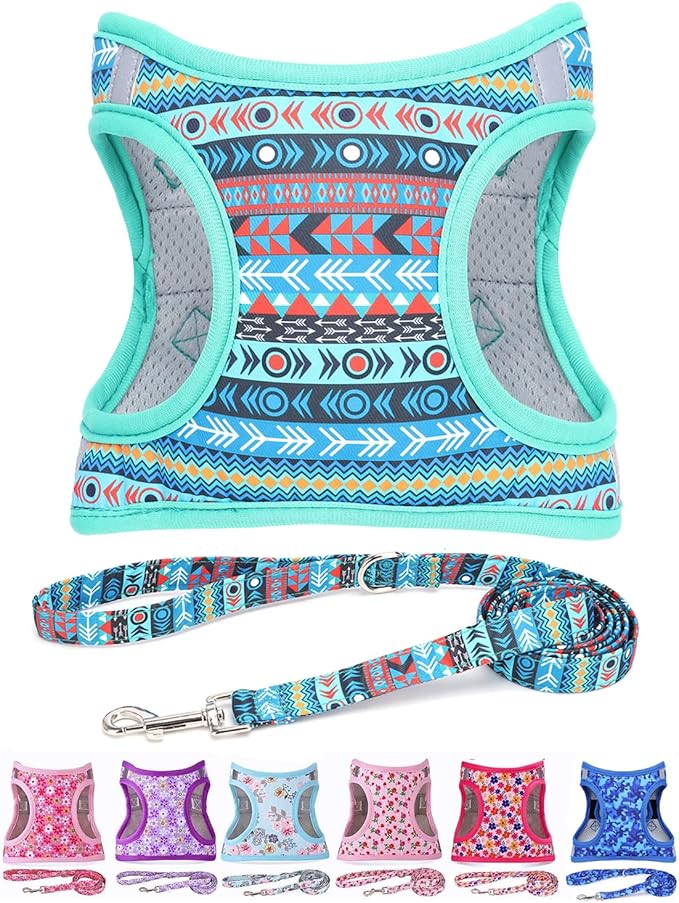 Moonpet Step in Boy Dog Harness Leash Set- All Weather Reflective No-Pull Padded Mesh Vest Harness for Cats Puppy Extra-Small Small Medium Large Dogs - Mayan Mysteries - XL