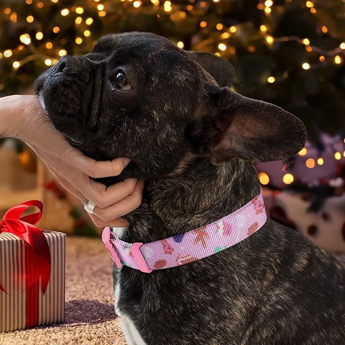 Pawtitas Soft Adjustable Puppy Collar Leash Harness Sold Separately Personalized Customizable Dog Collar Embroidered Customize Pet Name Phone Number Christmas Dog Collar Extra Small Christmas Cookies