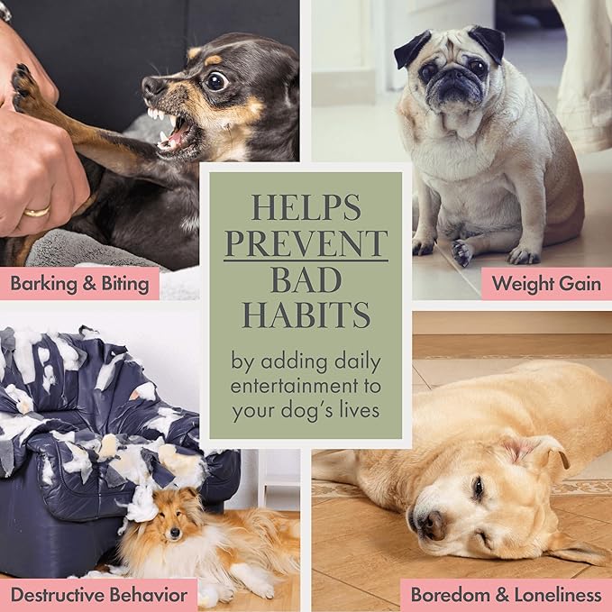 Nina Woof Organic Cotton Dog Toys Pack – Handmade Squeaky Plush Puppy Toys for Small and Medium Dogs, Eco Friendly Teething Accessories, Natural Pet Gift Set with Cute Fruit and Veggie Designs