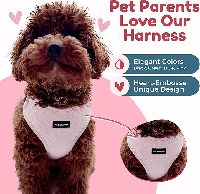 No Pull Neoprene Dog Harness and Leash Set for Small Dog, Neck(11.5–14 in), Adjustable Soft Mesh Design, Pink XS -Lightweight No Choke Fit, Step-in, Escape-Proof Comfort