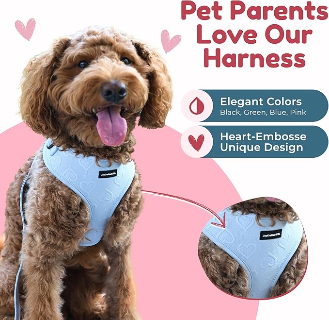 No Pull Neoprene Dog Harness and Leash Set for Small Dog, Neck(15–20 in), Adjustable Soft Mesh Design, Blue M -Lightweight No Choke Fit, Step-in, Escape-Proof Comfort